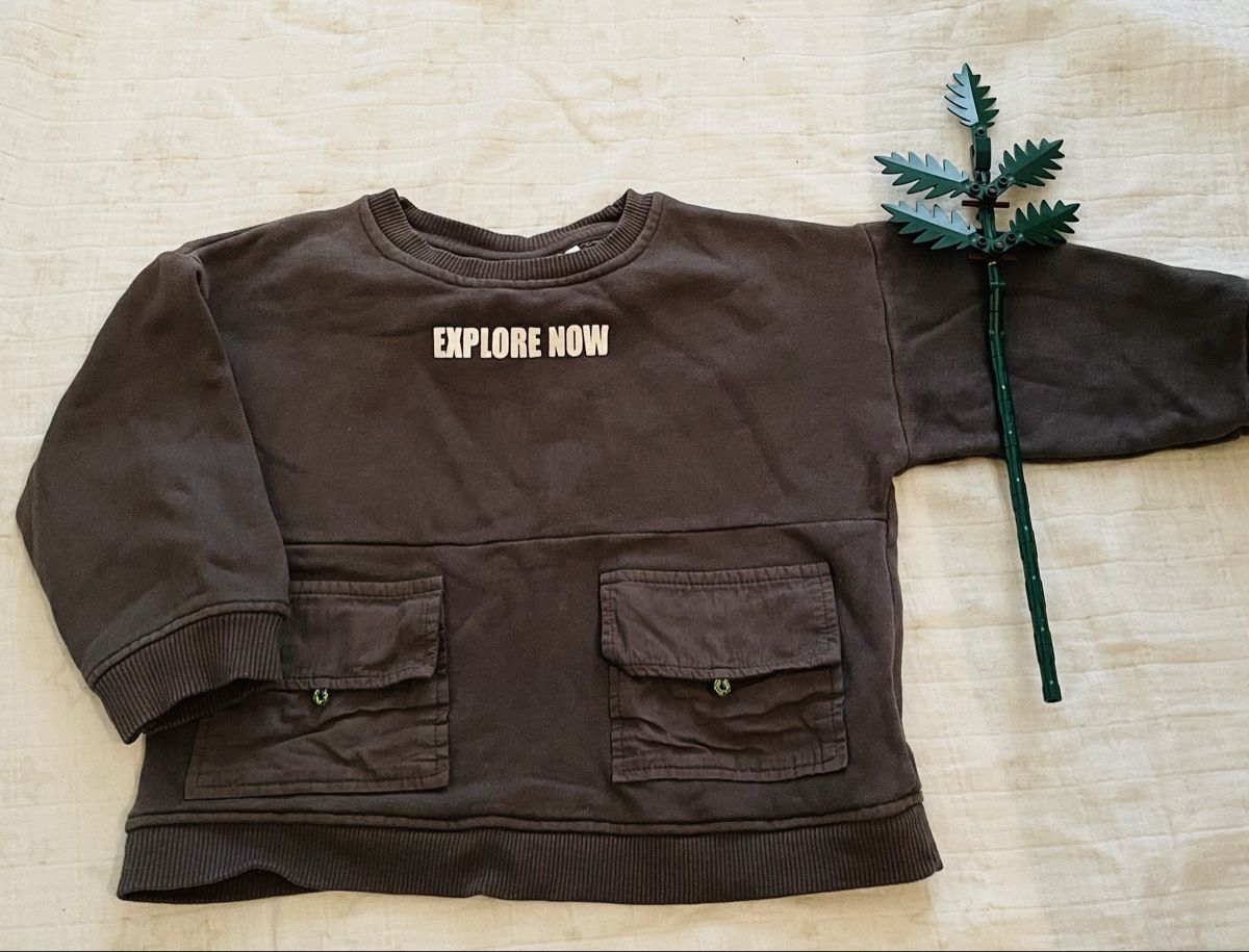 Zara Pullover & Sweatshirts: “Explore Now" Jumper – Gebraucht aus Zollikerberg von BS.SM