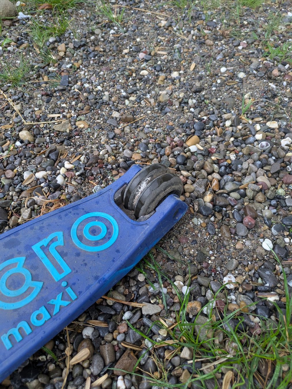 Micro Kickboard: Maxi Micro Trotti – D'occasion à Zürich par chukye 2