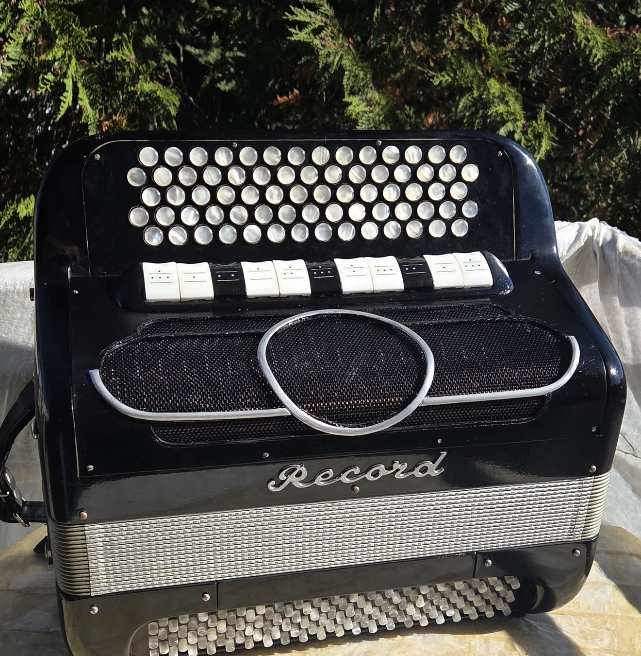 Record Strumenti musicali: Accordéon Record  c/griff 4 voix – Usato da Penthalaz venduto da EvandroLuz