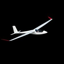 Profile image of rcplaneur3974