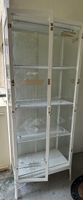Vitrine für Pflanzen