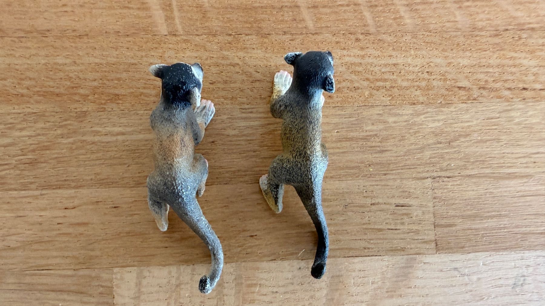 Schleich Giocattoli: SCHLEICH - Affe Totenkopfäffchen 14723 – Usato da Winterthur venduto da Secondhand-Family 5