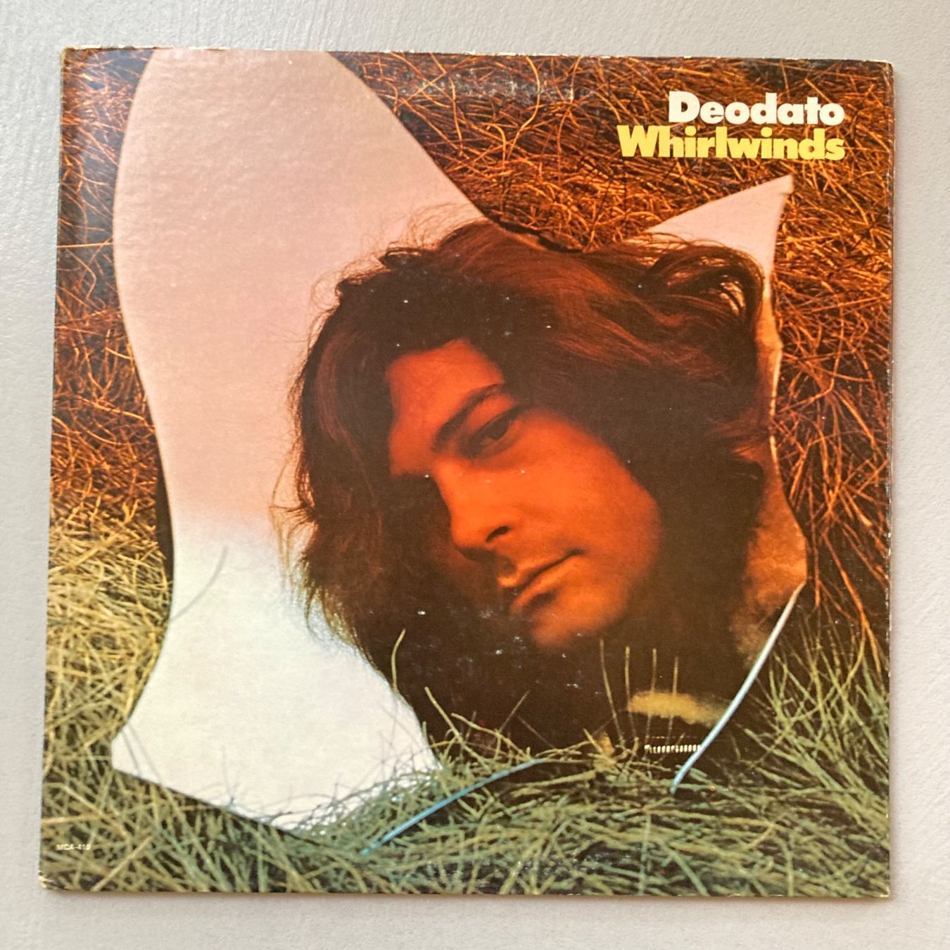 Dischi in vinile: Deodato - Whirwinds -  LP – Usato da dachsen venduto da oheio