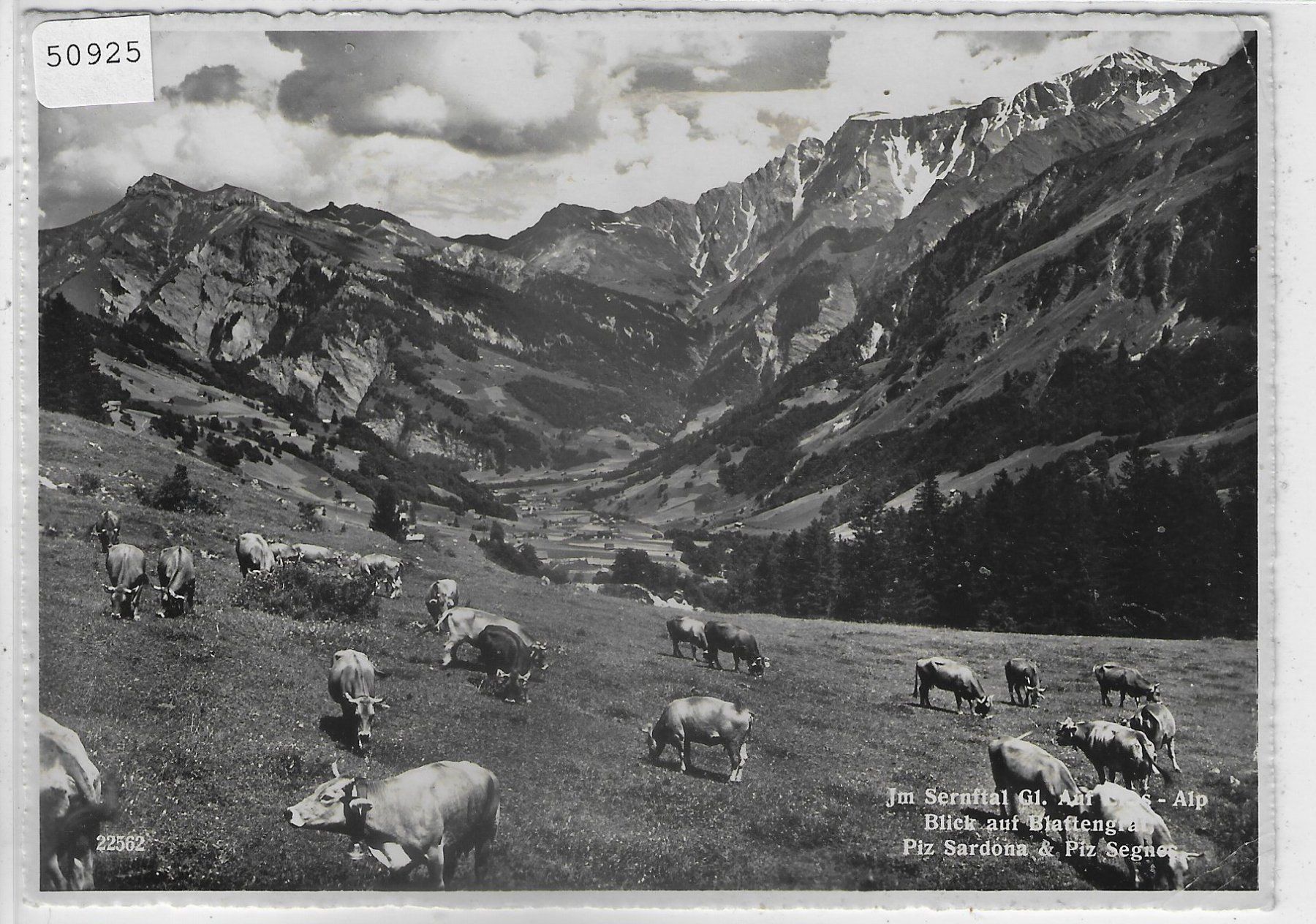 Cartoline postali: Im Sernftal - Auf der Alp - Kuhherde – Usato da Ettingen venduto da Kartenplanet