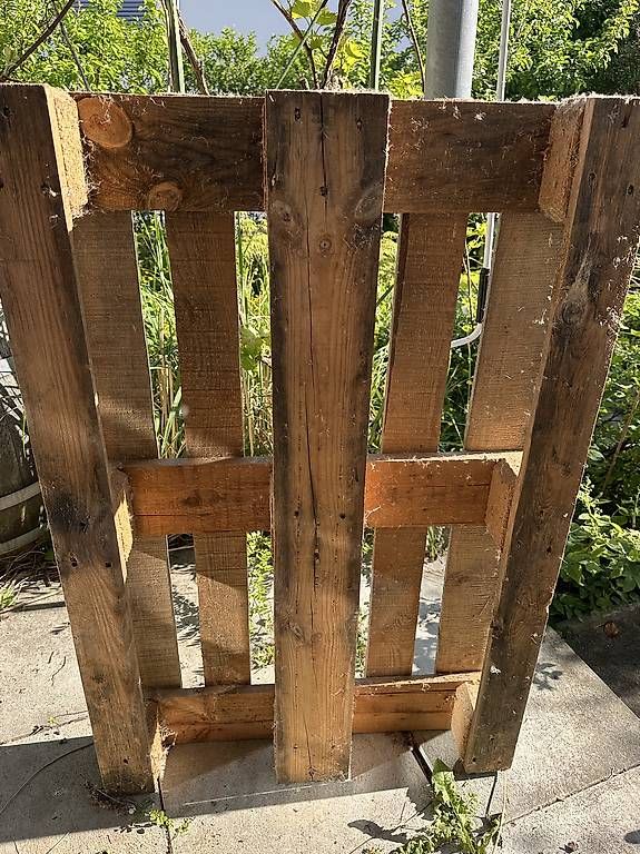Pallets: Europalette – Usato da Geroldswil venduto da swolmuel 2