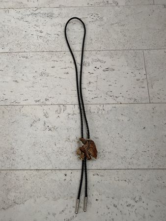 Bolo Tie Adler mit Lederband und dekorativen Enden