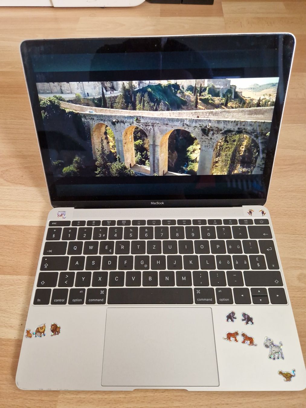Apple Notebook: MacBook 12" / 2016 M5 / 8 GB RAM / 500 GB SSD – Usato da Zürich venduto da Arianco