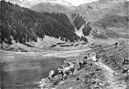 Klosters, Schlappin, Pension Jägerstübli Erika