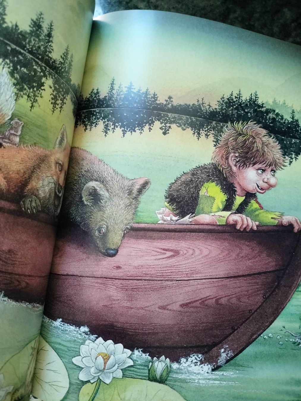 Livres: Petit Troll Tor Age Bringsvaerd – D'occasion à Cortaillod par rozinna 8