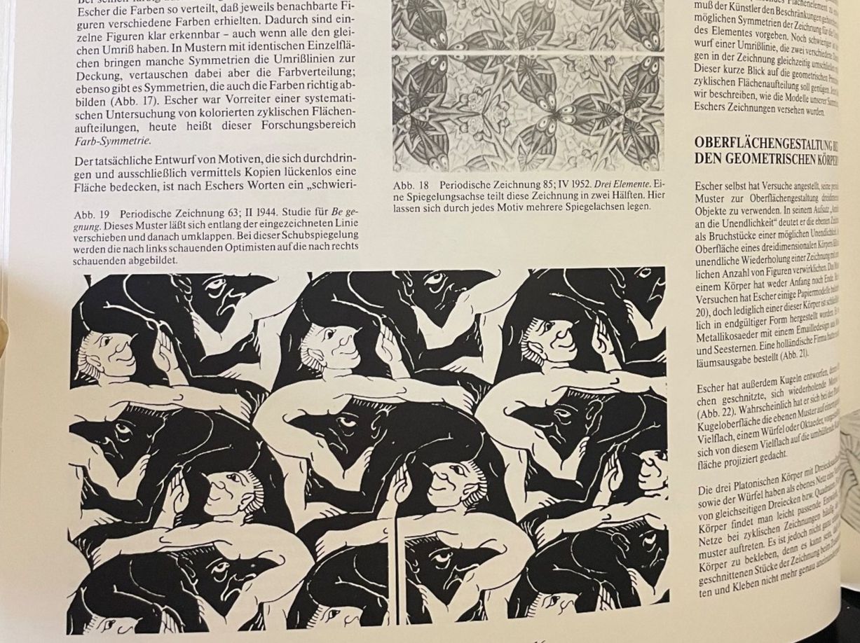 Bücher: M.C. Escher Kaleidozyklen – Gebraucht aus Wangen ZH von Bobenix 5