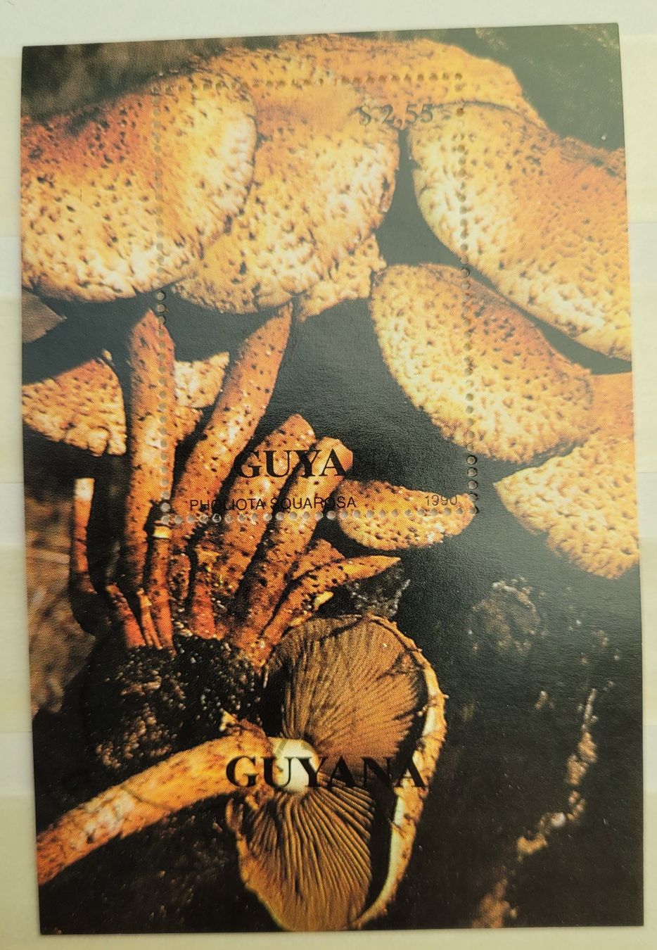 Tutti i francobolli: PILZE - GUYANA / CHAMPIGNONS - GUYANE– MINI SHEET – Usato da Neftenbach venduto da Mador6