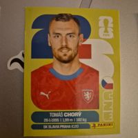 CZE 17 Panini FIFA WM 2026