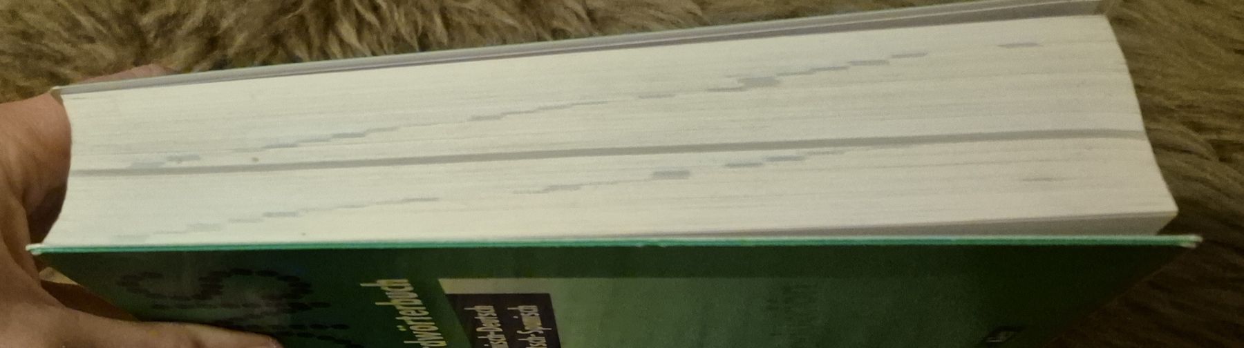 Libri: Spanisch Wörterbuch PONS /Englisch Grammatik – Usato da Adliswil venduto da cha_fq9f 3