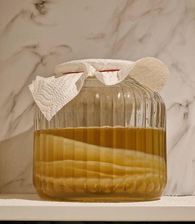 Cibi & Specialità: Riesig Kombucha SCOBY (Grüntee) – Usato da Zürich venduto da sdsp