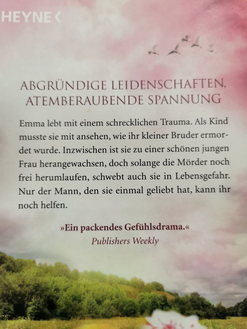 Libri: Nora Roberts, 5 Romane "1319" – Usato da Kölliken venduto da mar5742 2