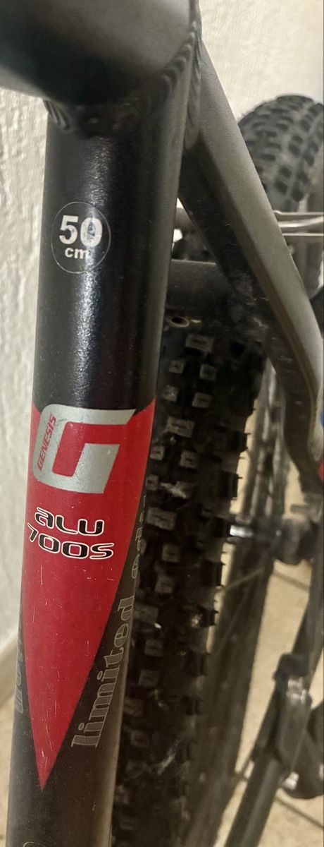 Genesis Biciclette: Genesis Mountain Bike Limited Edition – Usato da Unterengstringen venduto da vivienneberger 5