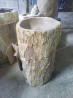 Waschbeckensäule Fossil Versteinertes Holz Becken Lavabo
