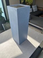 Pflanzensäule
