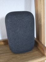 Google nest audio