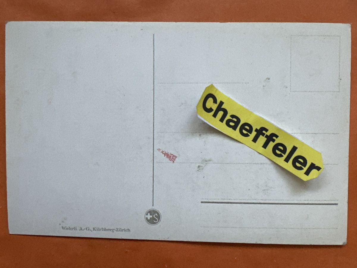 Ansichtskarten: Alte Ansichtskarte "Bündner Dorfstrasse" mit Ziegen! – Gebraucht aus Zürich von Chaeffeler 1