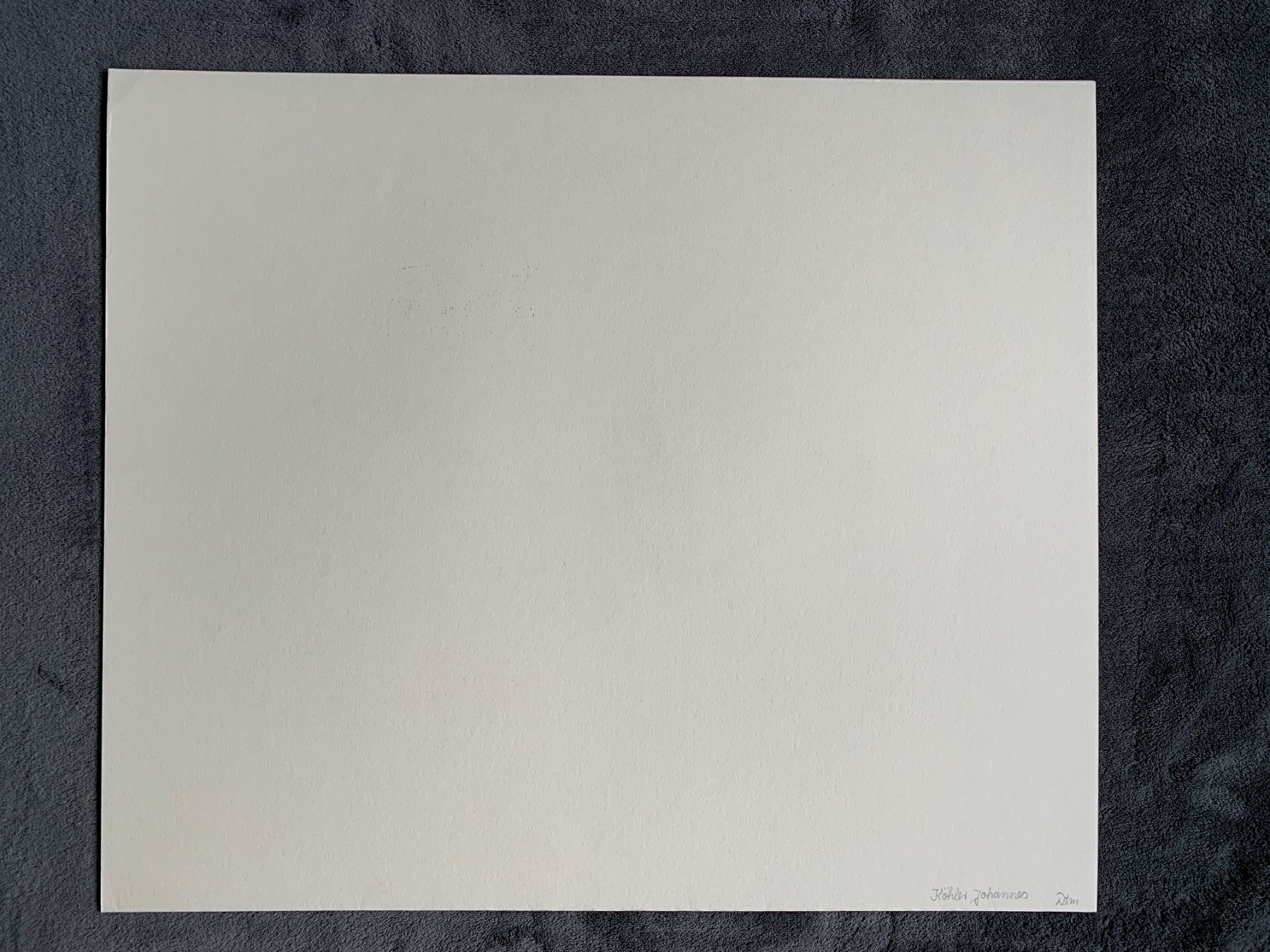 Grafiken & Lithographien: Kiki Smith - Lithographie Bat – Gebraucht aus Regensdorf von JoergR 8