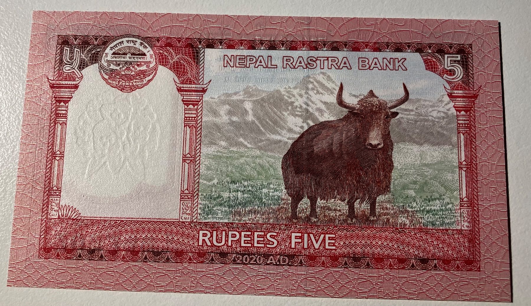 Banconote: Nepal 5 Rupees 2020 Neuwertig – Nuovo (secondo la descrizione) da Algetshausen venduto da Carrhard 1