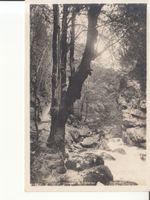 Gorges de l'Areuse ca. 1930