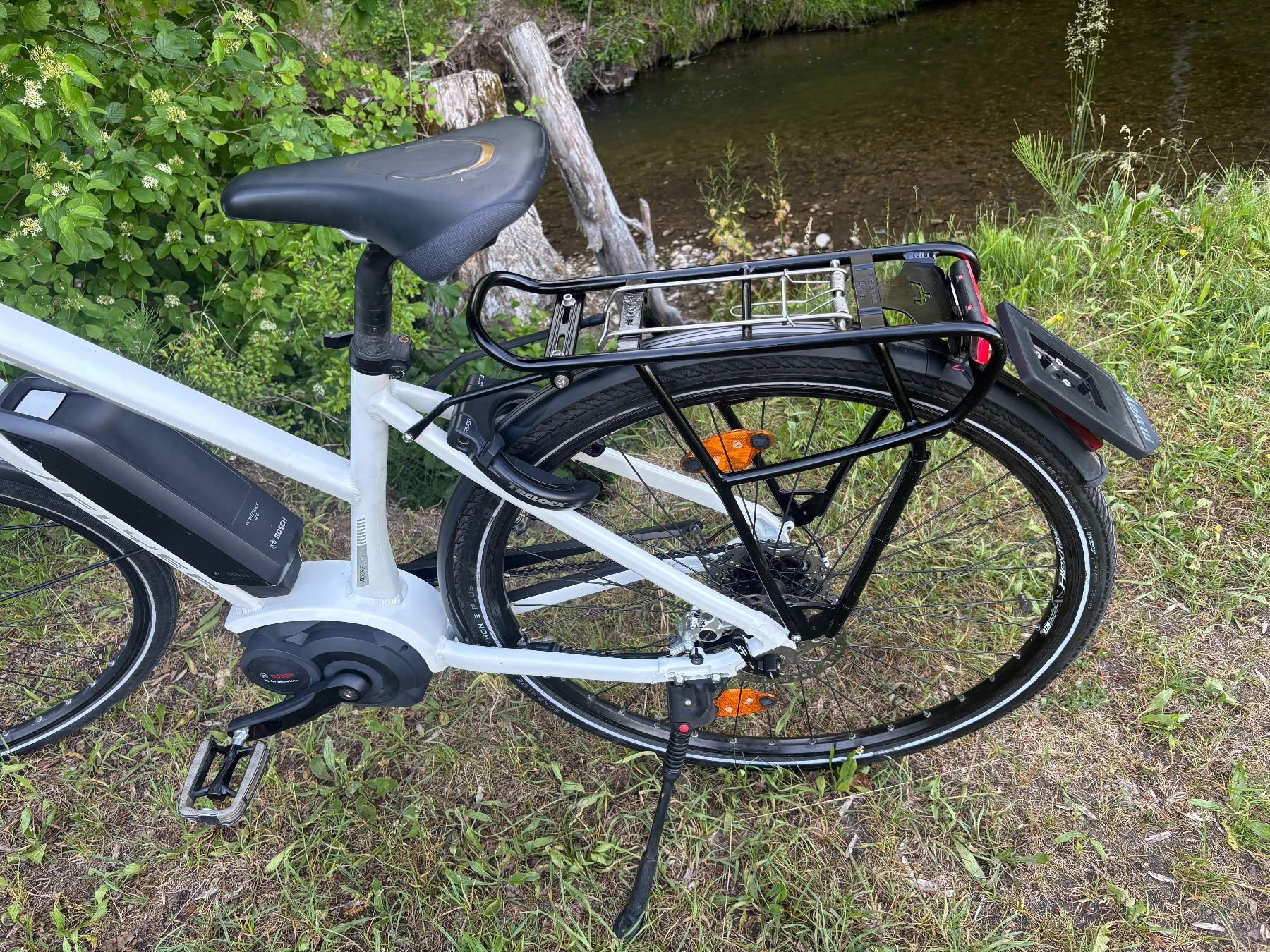 Flyer Biciclette: Flyer Bosch Motor 45 Km/h – Usato da kleindietwil venduto da Mauzi2016 2
