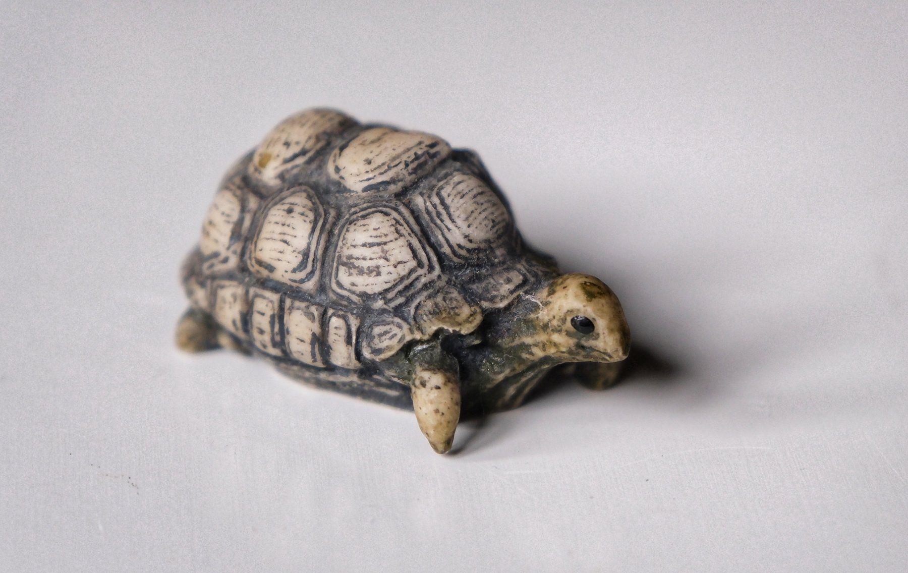Figuren: Schildkröten Figuren/Sammlung – Gebraucht aus Wohlen AG von  2