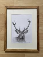 Hirsch Zeichnung, Bleistift