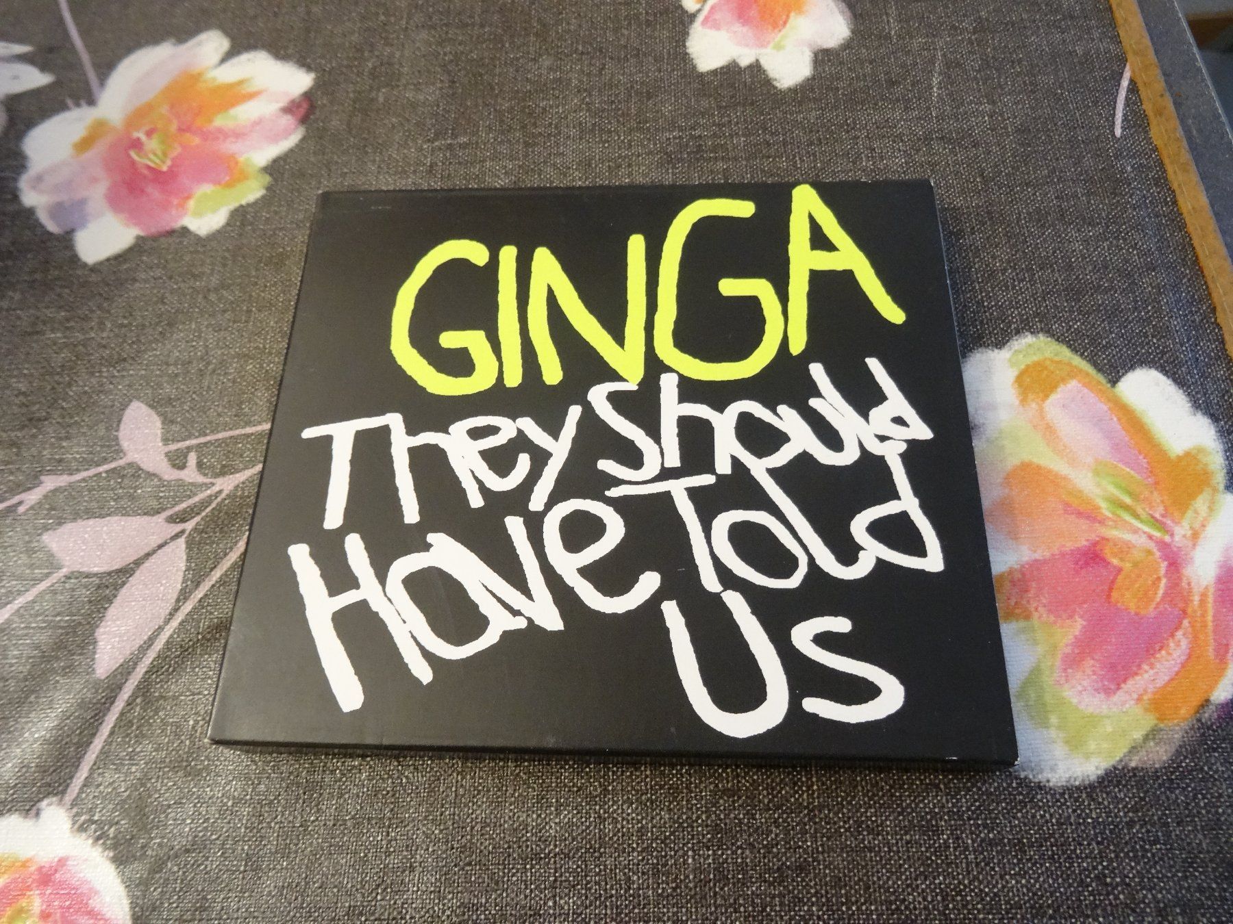 CD: Ginga - They should have told us CD – Usato da Olten venduto da Disc-Ausverkauf