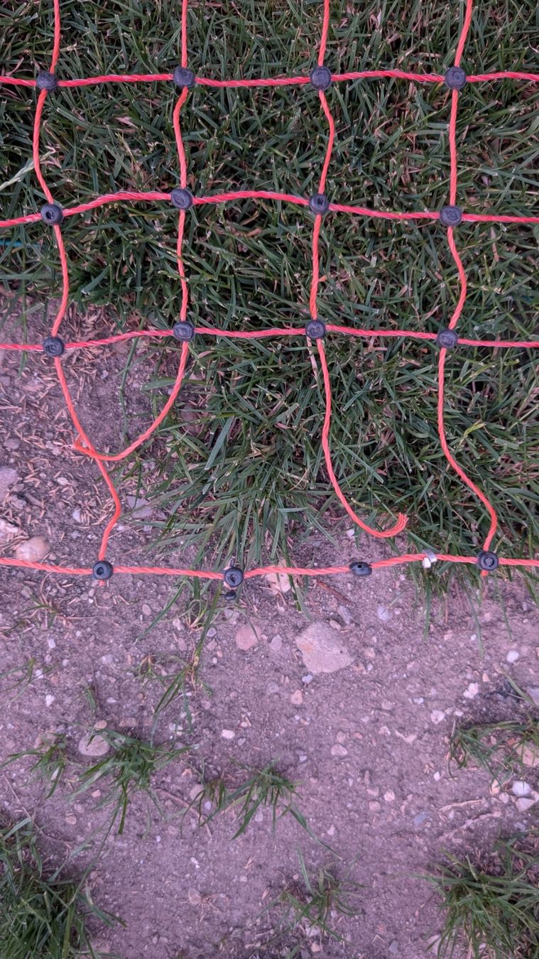 Sonstige Stalleinrichtungen: Weidezaun 8.9m und 15m – Gebraucht aus Rohrbach von Zidane6 2