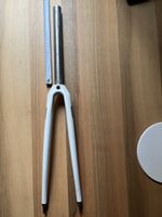 Serotta F1 Gabel