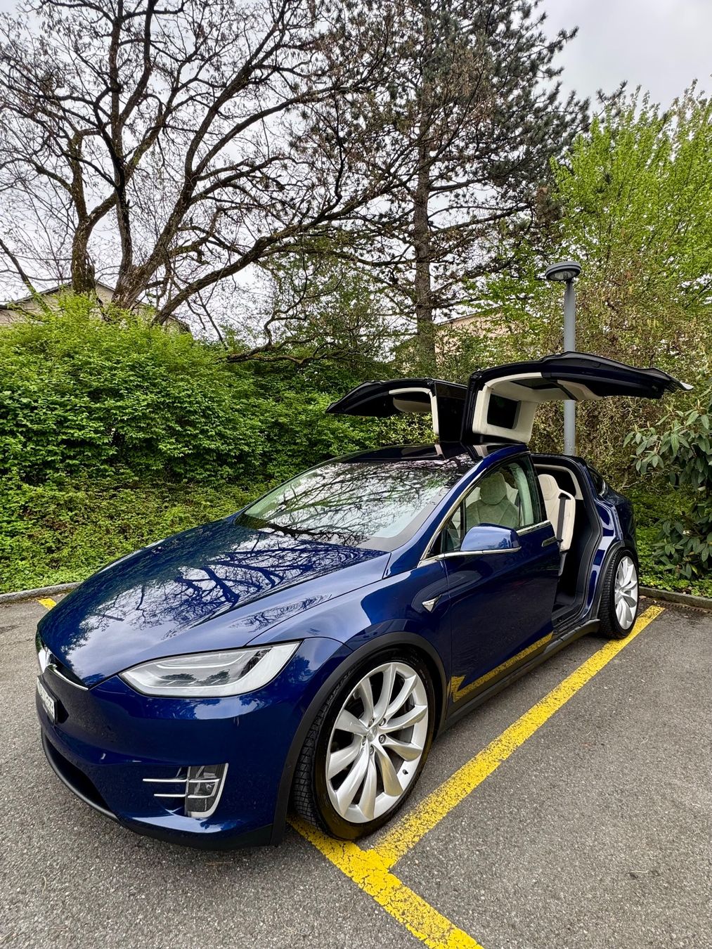 Tesla Autos: Tesla Model X 100 D 7 Plätzer sehr selten – Gebraucht aus Nebikon von kau_2bfl 3