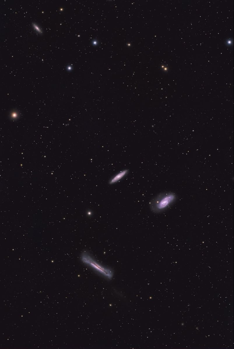 Zwo Télescopes: ZWO 80FF Flatfield APO Refractor Quadruplet – Neuf (Voir description) à Schöfflisdorf par JeremiaF 5