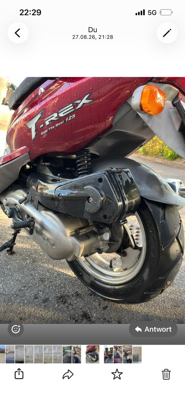 Pgo Scooter: PGO T-Rex 125 – Usato da Basel venduto da JonnyMarronny 2