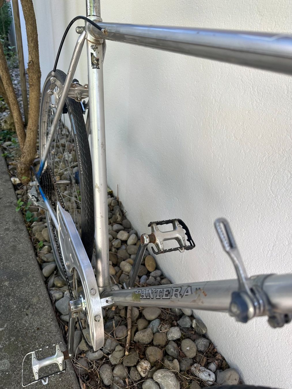 Biciclette: Panthera Herrenvelo – Usato da Zürich venduto da cedkob 1
