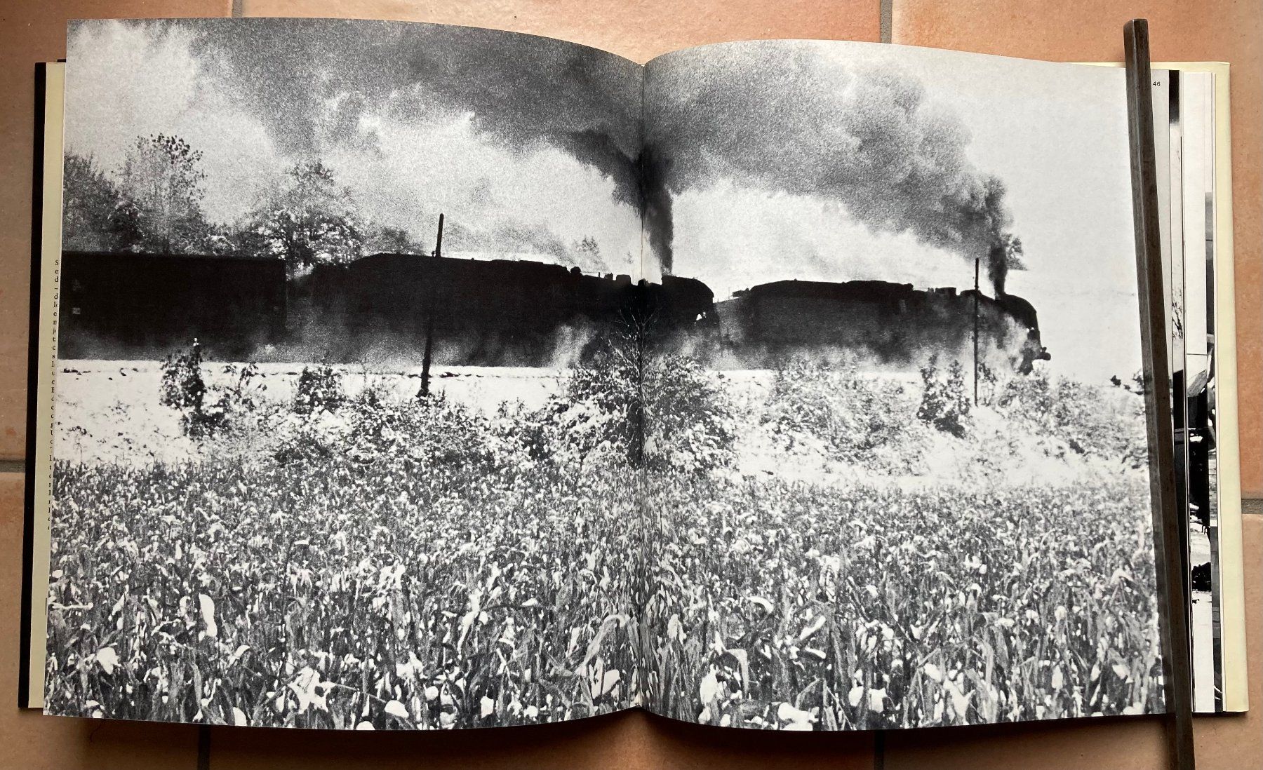 Bücher: Loco Graphies - T. Terbois – Gebraucht aus Versoix von Decapod 5
