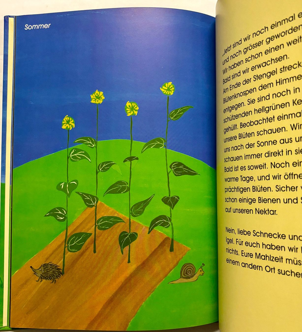Libri: Die Sonnenblume und ihre Kinder – Nuovo (secondo la descrizione) da Sarnen venduto da Livres 3