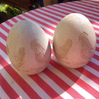2 Ostereier aus Gips mit Hühnern