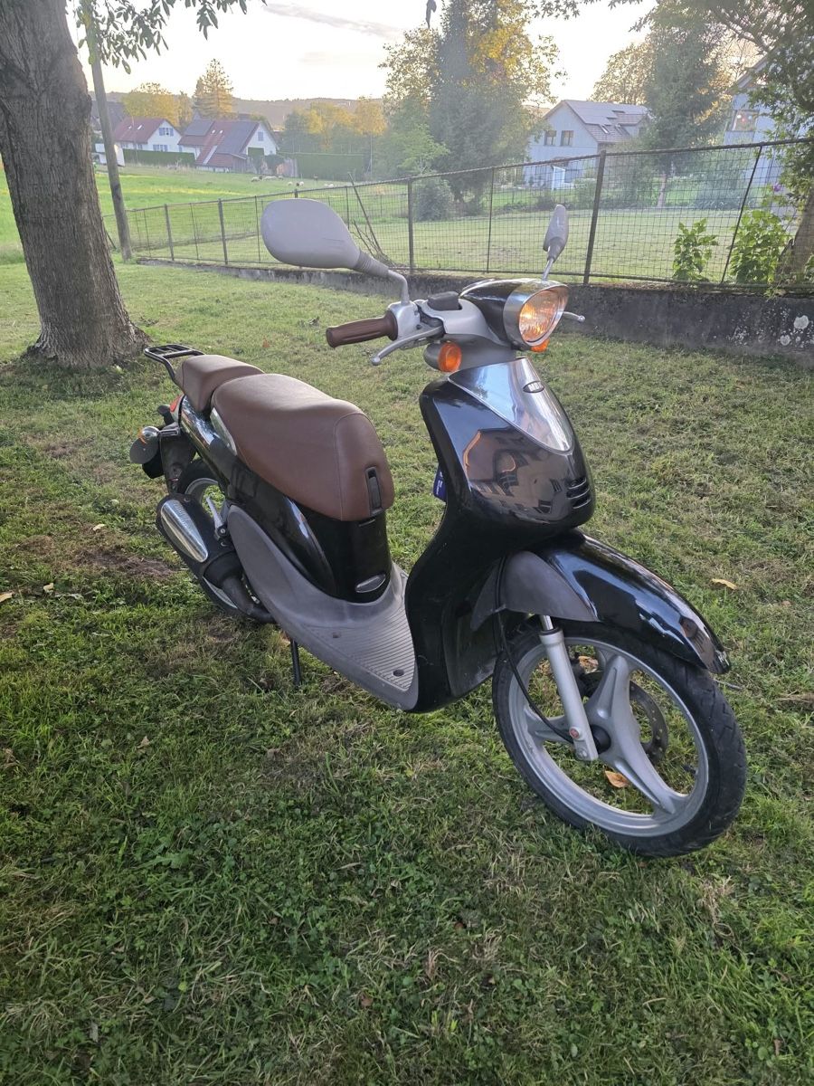 Yamaha Strada: YAMAHA FLIPPER 50 CC – Usato da Winterthur venduto da Fabio_46 1