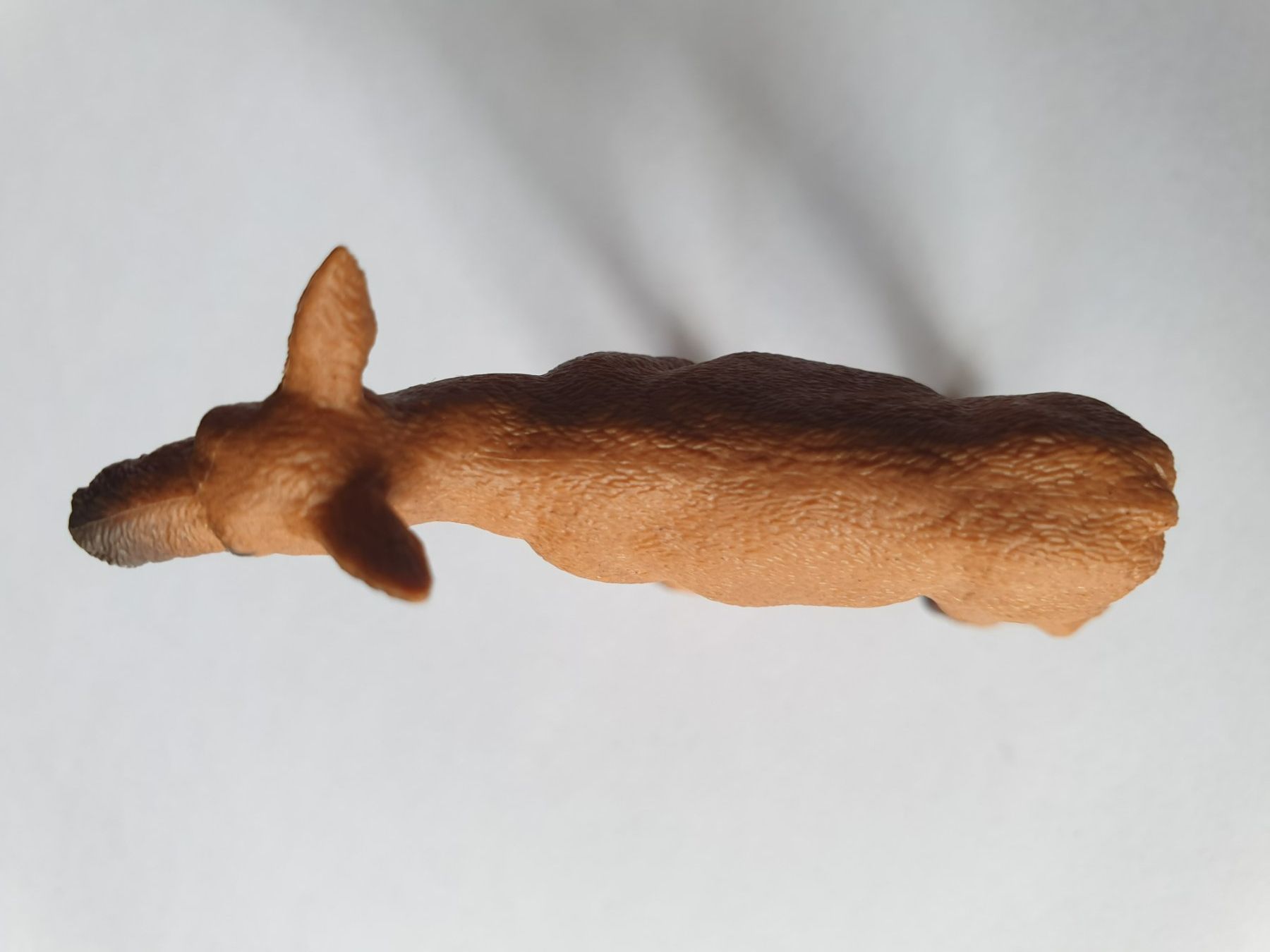 Schleich Statuette: Elch - Junges Tier Schleich – Nuovo (secondo la descrizione) da Mörschwil venduto da spirspi 6