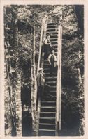 Foto karte Uetliberg Männer Holztreppe / Leiterli