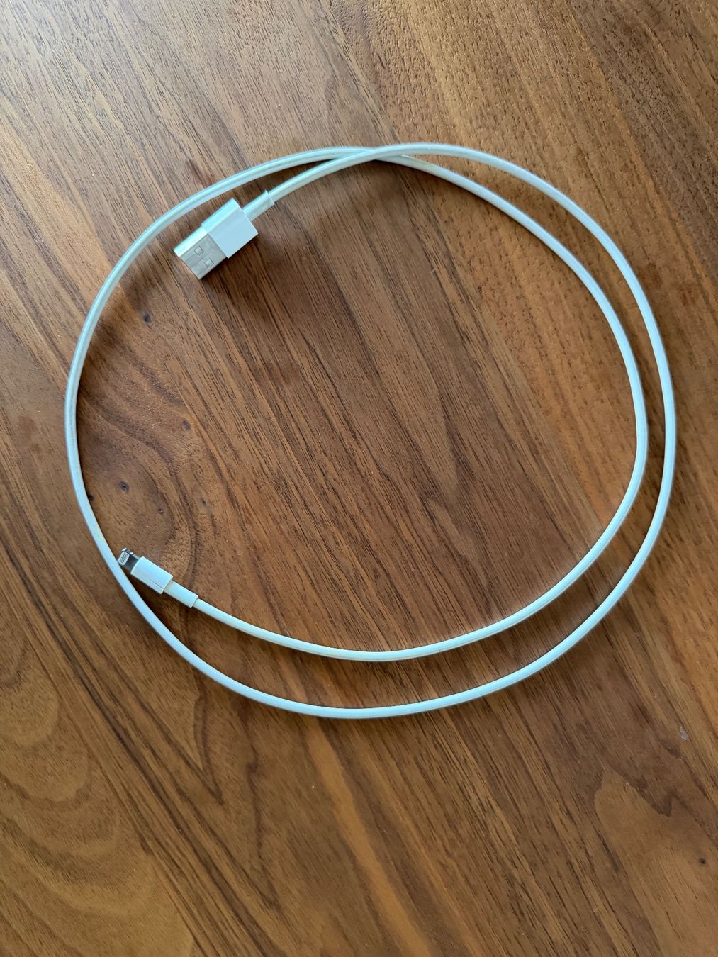 Apple Caricabatterie: Apple USB A – Lightning Kabel & USB Power Adapter – Usato da Zürich venduto da blancali 2