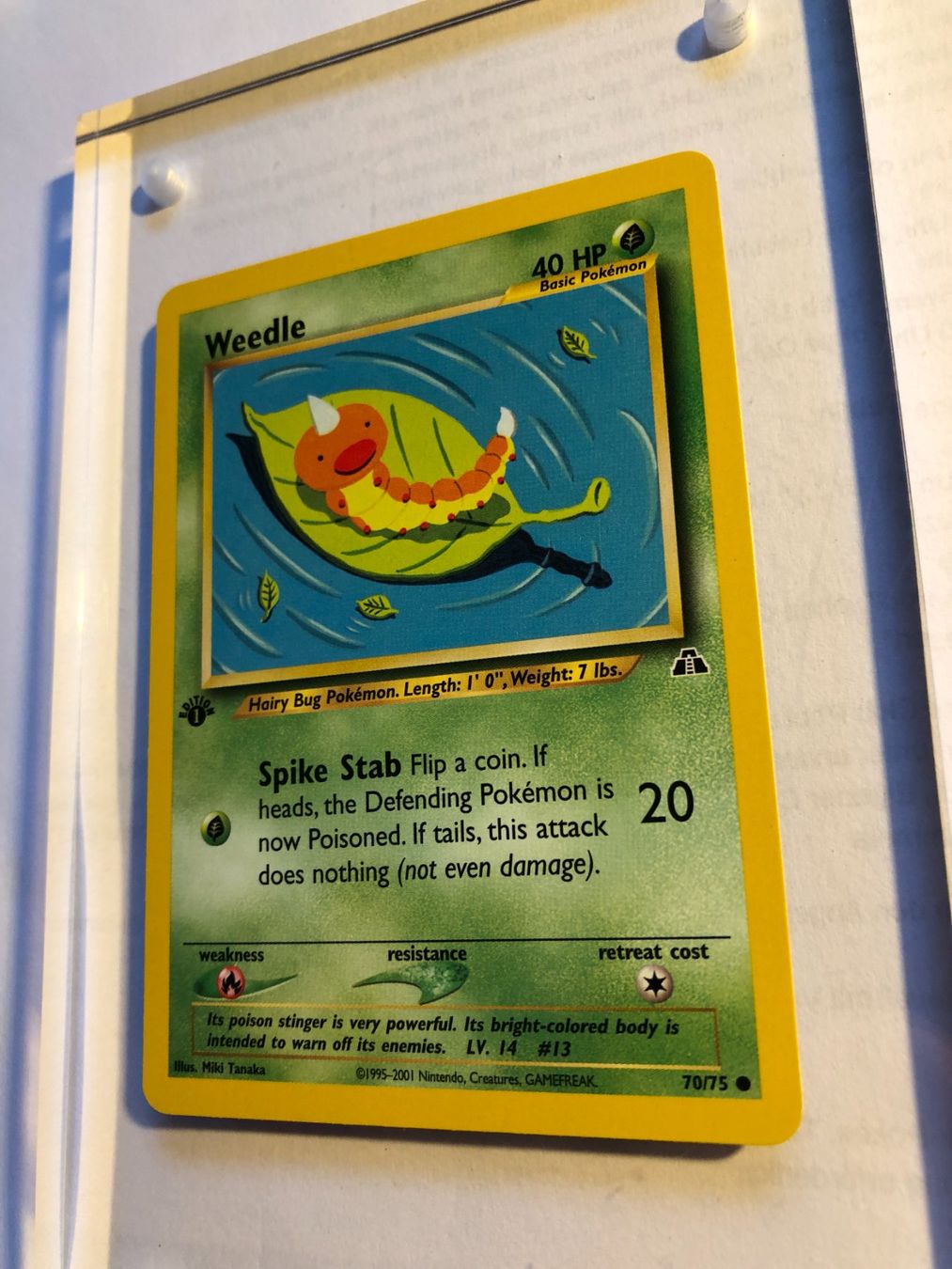Sammelbilder & Trading cards: Weedle 1st Neo Discovery - MINT - ab 1.- – Gebraucht aus Giubiasco von dan_pr8b 2