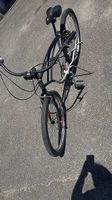 Velo