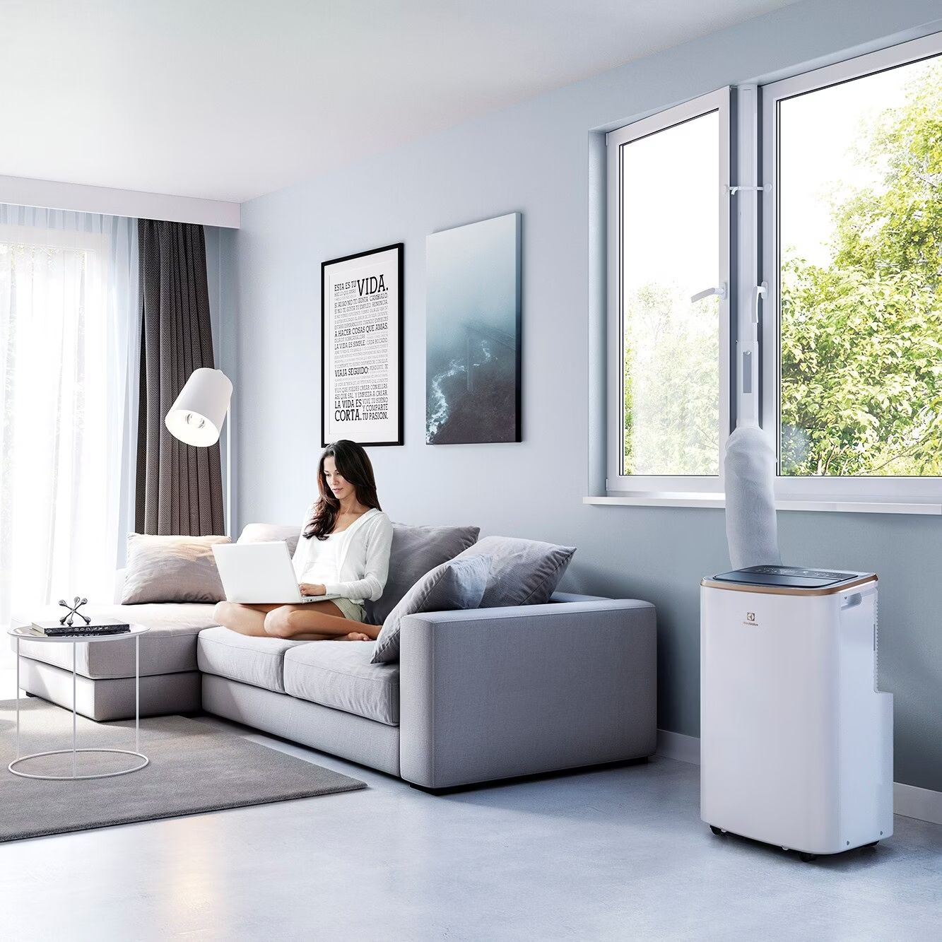Electrolux Condizionatori: Electrolux Chill Flex Pro Gold 40m2 – Usato da Zürich venduto da WIIhelmTell 8