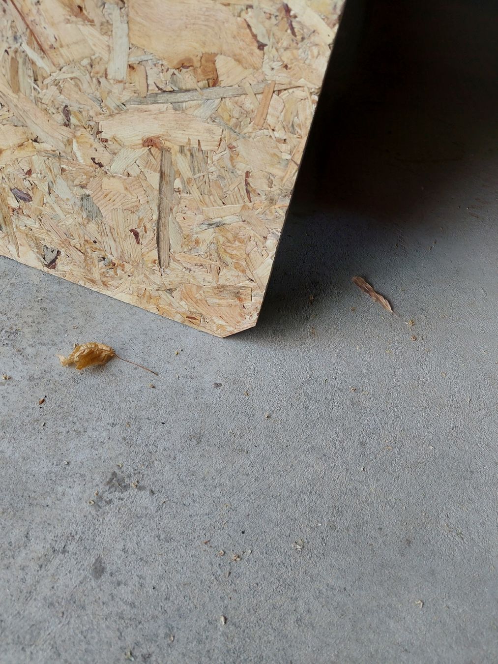 Articles en bois: OSB Platten – D'occasion à rubigen par Bubumary 1