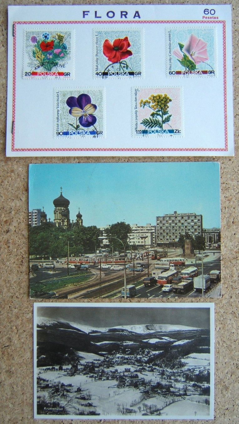 Tous les timbres: LOT POLEN BRIEFE / AK / BRIEFMARKEN – D'occasion à Brunnen par Nonne04 2