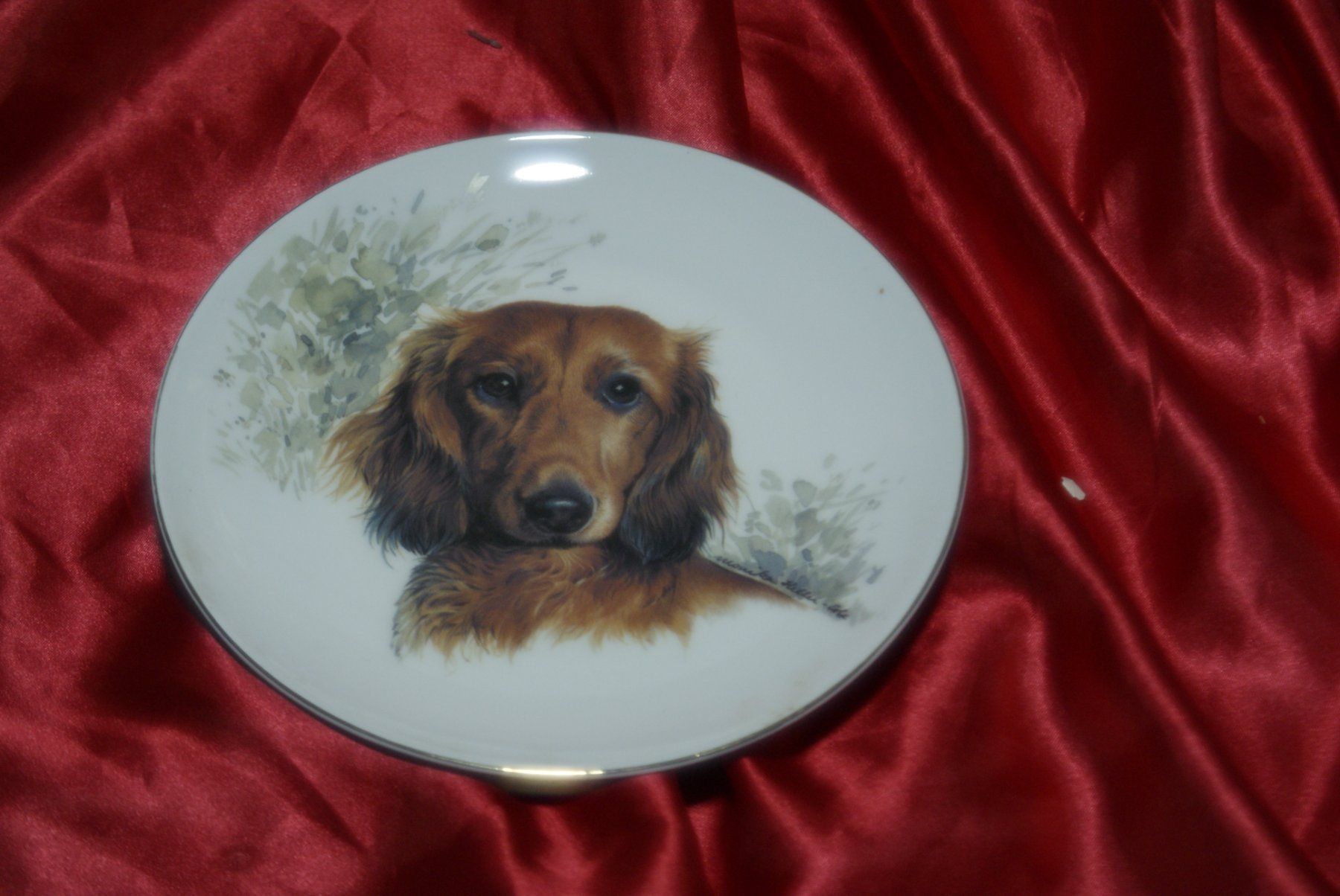 Teller: (BB) Alter Teller mit wunderschönem Dackel Bild,Hund – Gebraucht aus Buchs AG von schwippschwapp